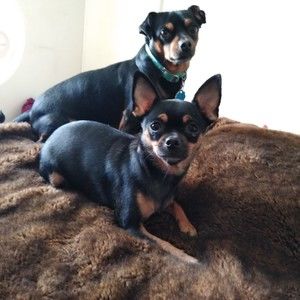 Meet your Posher, Sonja